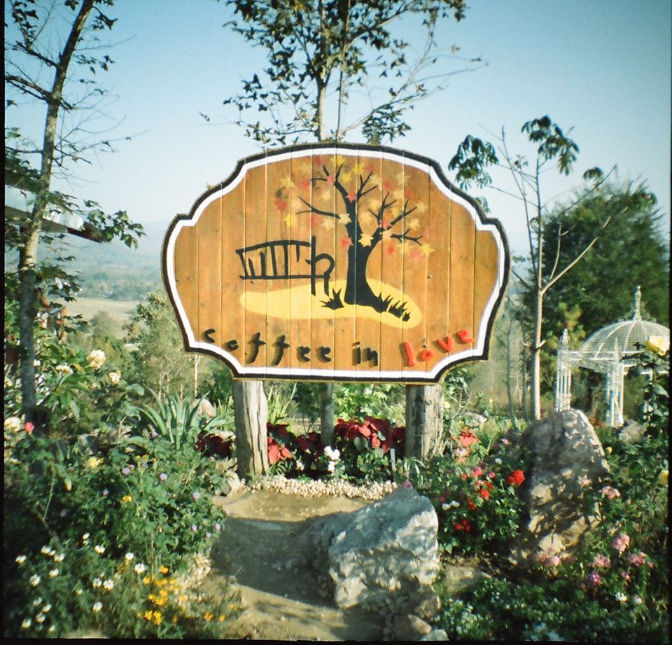 175102_501851925641_8189192_o